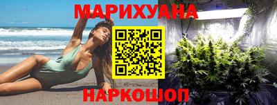 прущие грибы Новозыбков